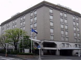 Pearl Hotel Mizonokuchi Кавасаки Стая снимка